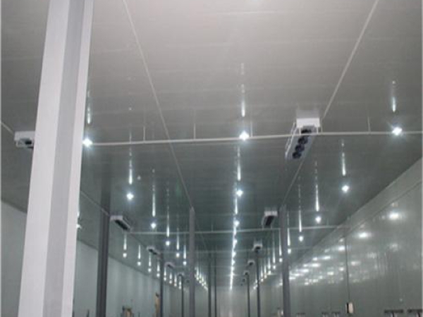 建造安裝食品低溫冷藏庫(kù)有哪些因素影響造價(jià)？